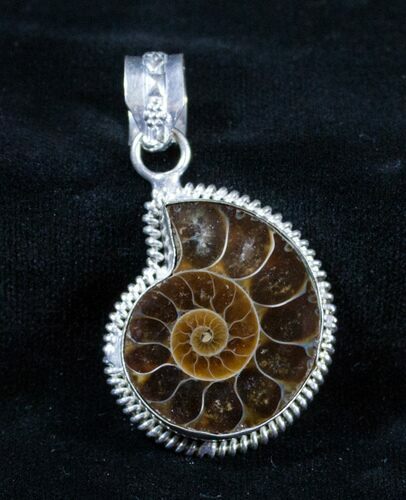 Ammonite Pendant #3140
